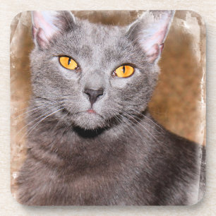 Porta-copo Portas copos DE GATO AZUL RUSSA