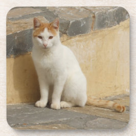 Porta-copo Portas copos de gatos