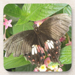 Porta-copo Portas copos de Macro Cork com Borboletas de Swall