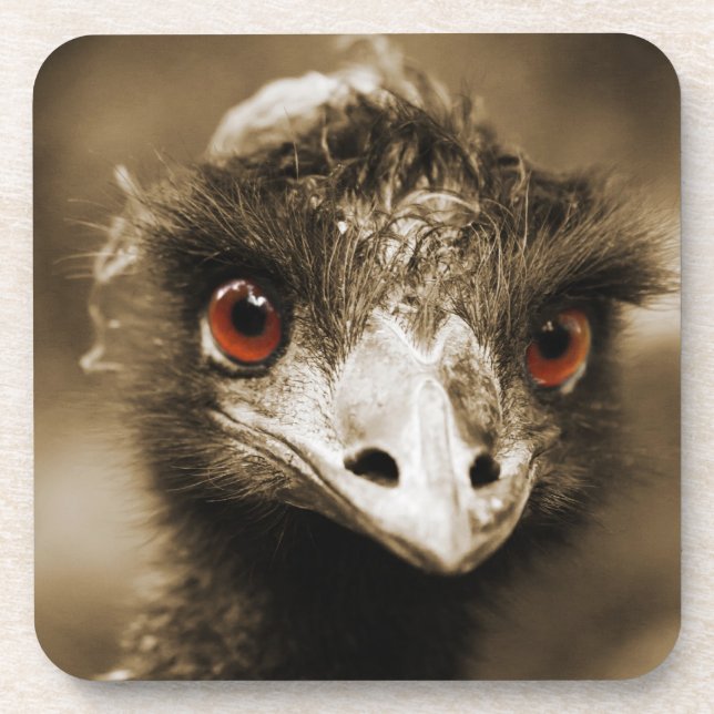 Porta-copo Portas copos De Olho De Ostras (Frente)