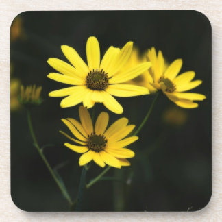 Porta-copo Portas copos de olhos pretos do café da bebida das