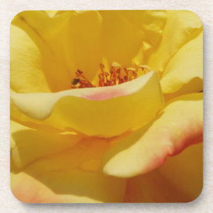 Porta-copo Portas copos de Rosa Amarelas