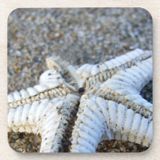 Porta-copo Portas copos de Starfish