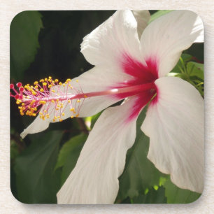 Porta-copo Portas copos do hibiscus