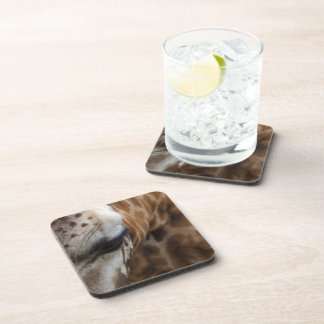 Porta-copo Portas copos Giraffe