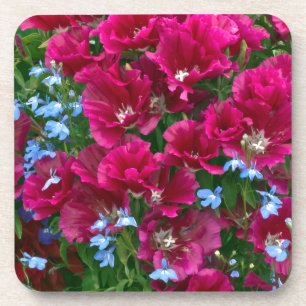 Porta-copo Portas copos Godetia E Lobelia