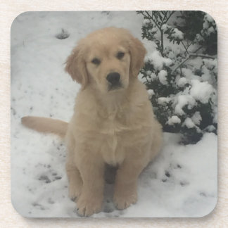 Porta-copo Portas copos - Ouro Festivo Retriever Puppy.