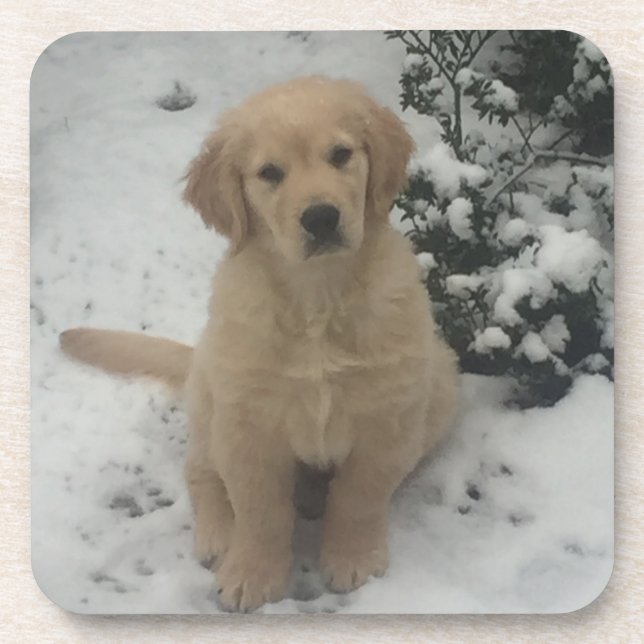 Porta-copo Portas copos - Ouro Festivo Retriever Puppy. (Frente)