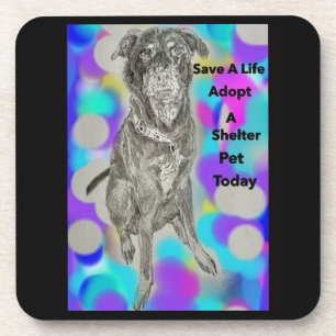 Porta-copo Portas copos plásticas do duro