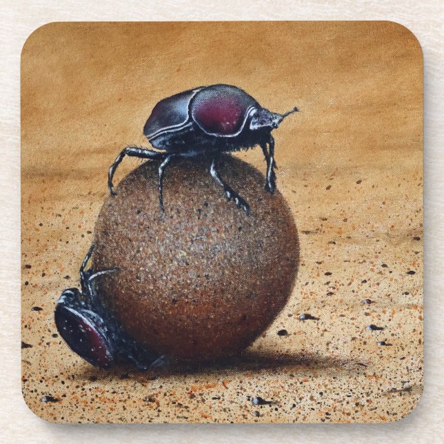 Porta-copo Portas copos plásticas do duro (Frente)