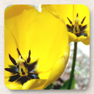 Porta-copo Portas copos plásticas do Duro Tulipa Amarelo
