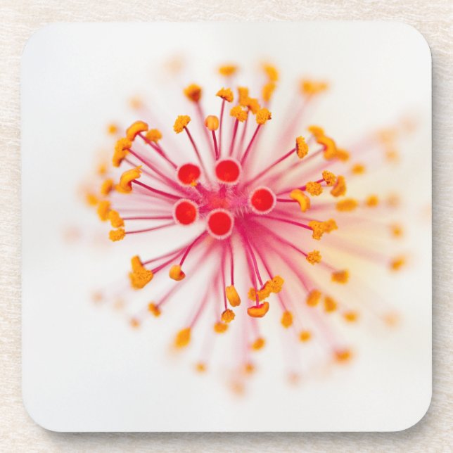 Porta-copo Portas copos plásticas duras do hibiscus (ajuste (Frente)