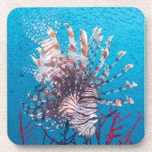 Porta-copo Portas copos plásticas duras do Lionfish (ajuste