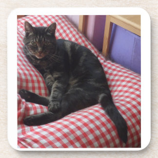 Porta-copo Portas copos plásticas para Dave Bonitas