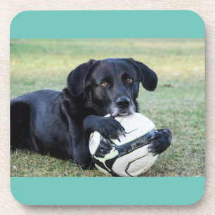 Porta-copo Portas copos pretas de laboratório.  Conjunto de 