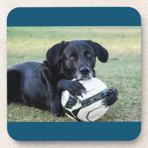 Porta-copo Portas copos pretas de laboratório.  Conjunto de s