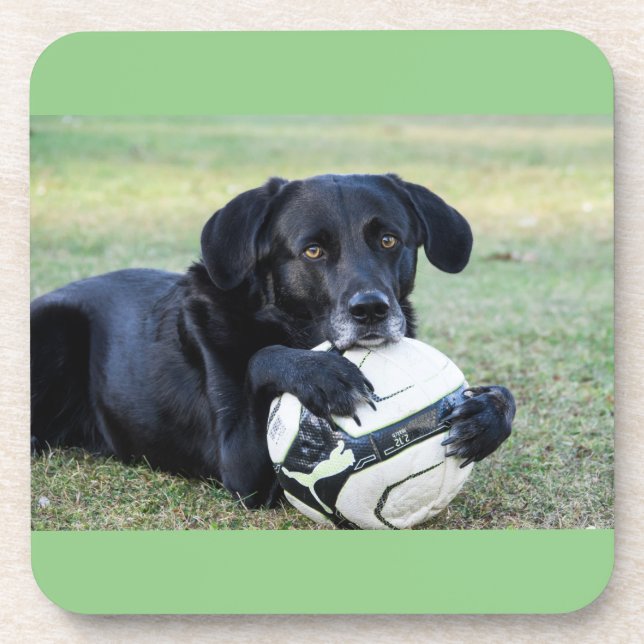 Porta-copo Portas copos pretas de laboratório. Conjunto de se (Frente)
