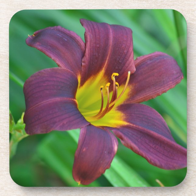 Porta-copo Portas copos Purple Lily (Frente)