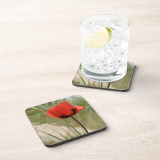 Porta-copo Portas copos Red Poppy