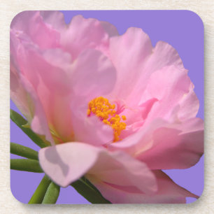 Porta-copo Portas copos Rosa de Peony