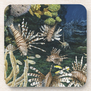 Porta-copo Portas copos vermelhas do Lionfish