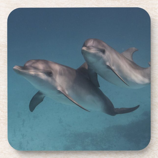 Porta-copo Pose brincalhão (Frente)