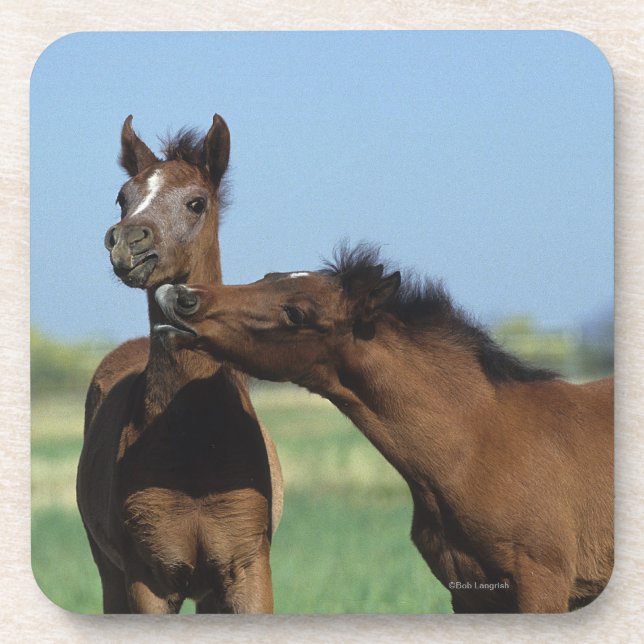 Porta-copo Potros que jogam 2 (Frente)
