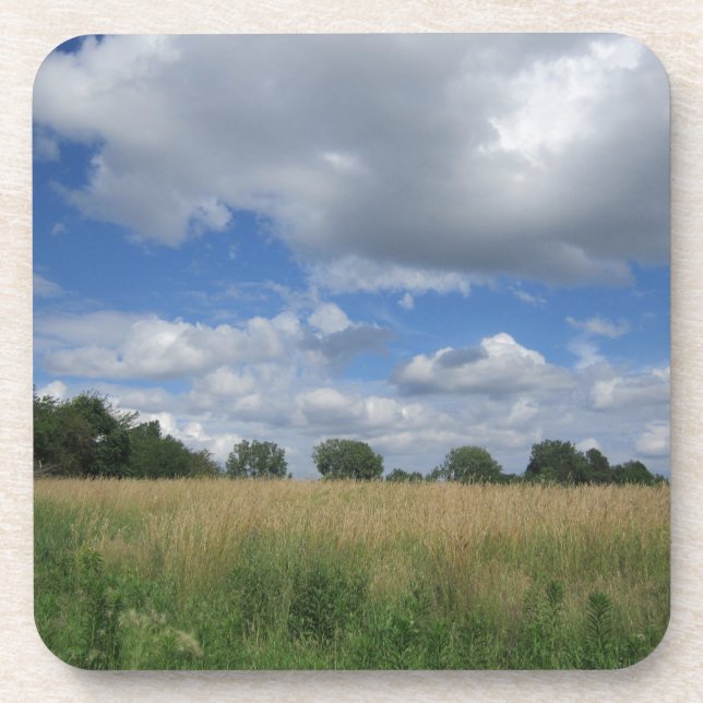 Porta-copo Pradaria de Iowa do verão (Frente)