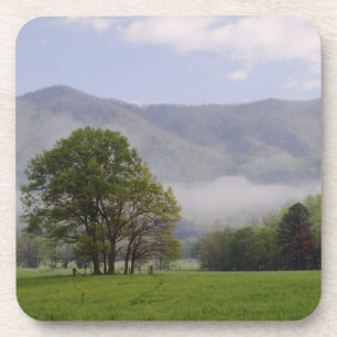 Porta-copo Prado enevoado e Rich Mountain, Cades Cove,