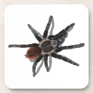 Porta-copo Pragas da aranha do animal de estimação do coark