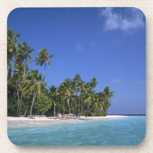Porta-copo Praia com palmeiras, Maldivas