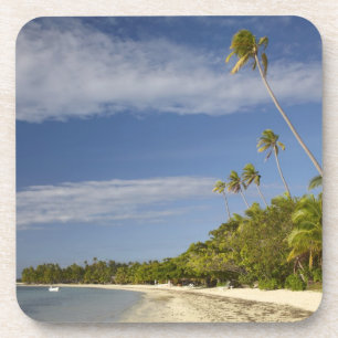 Porta-copo Praia e palmeiras, estância de Plantation Island