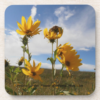 Porta-copo Prairie Flower Hard plastic coaster