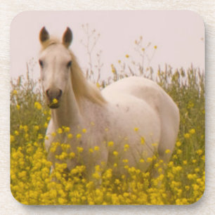 Porta-copo Primavera