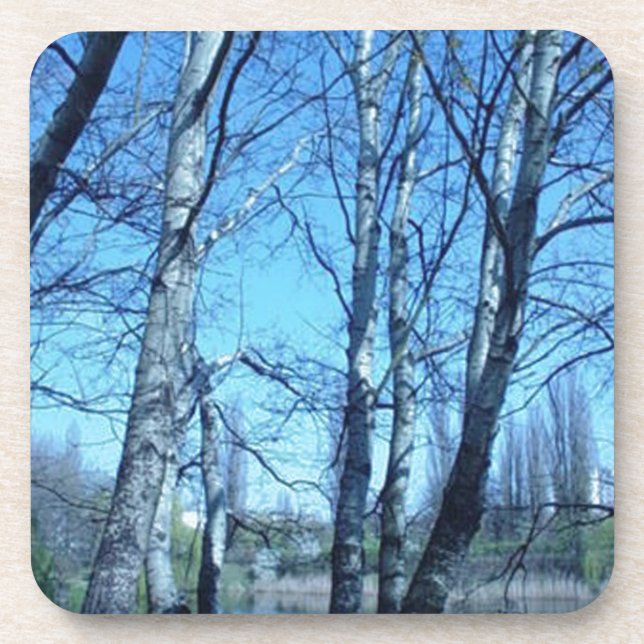 Porta-copo primavera inicial (Frente)