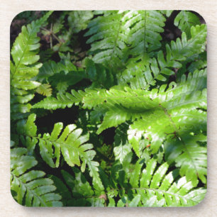 Porta-copo Primavera Verde-Ferns