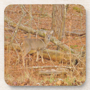 Porta-copo Primeiro inverno do Baby Deer