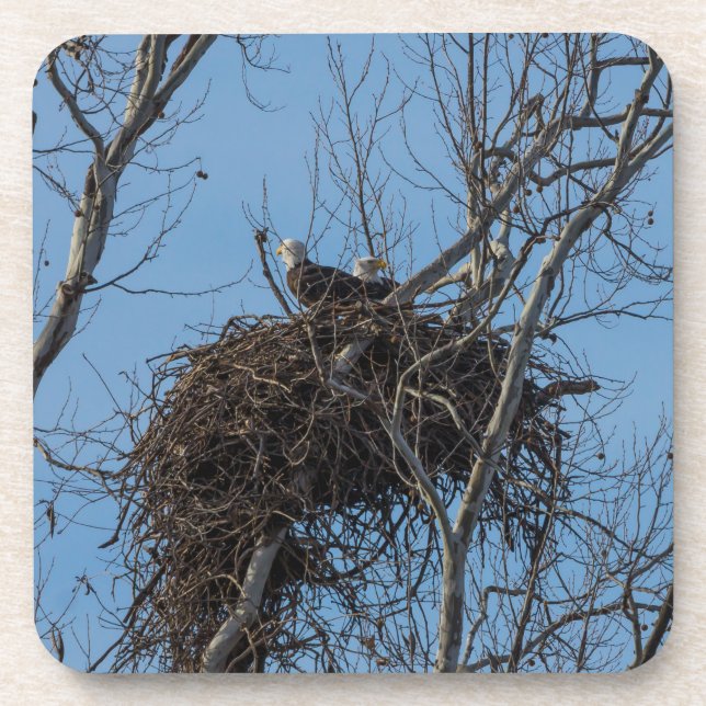Porta-copo Problemas de Águia Dupla (Frente)