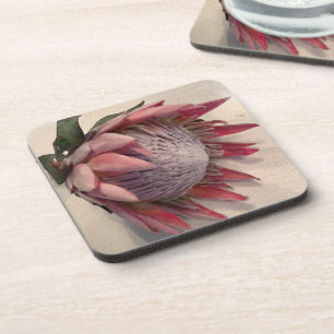 Porta-copo Protea de Aquarela