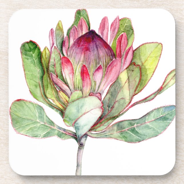 Porta-copo Protea Flor (Frente)