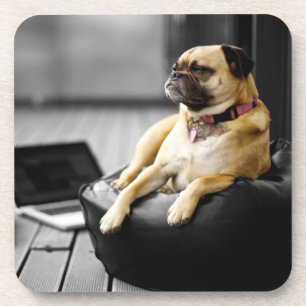Porta-copo Pug at Rest