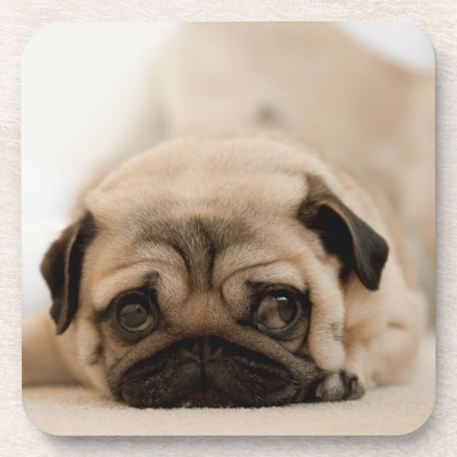 Porta-copo Pug da fêmea de Tan (Frente)