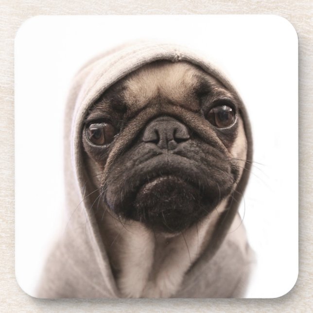 Porta-copo Pug em um Hoodie (Frente)