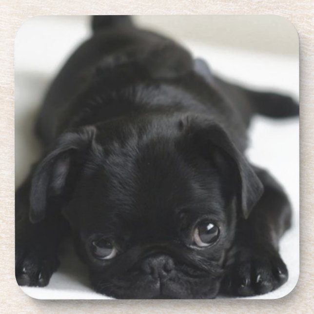 Porta-copo Pug Negro (Frente)