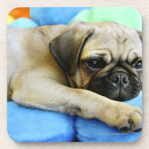 Porta-copo Pug que coloca em travesseiros