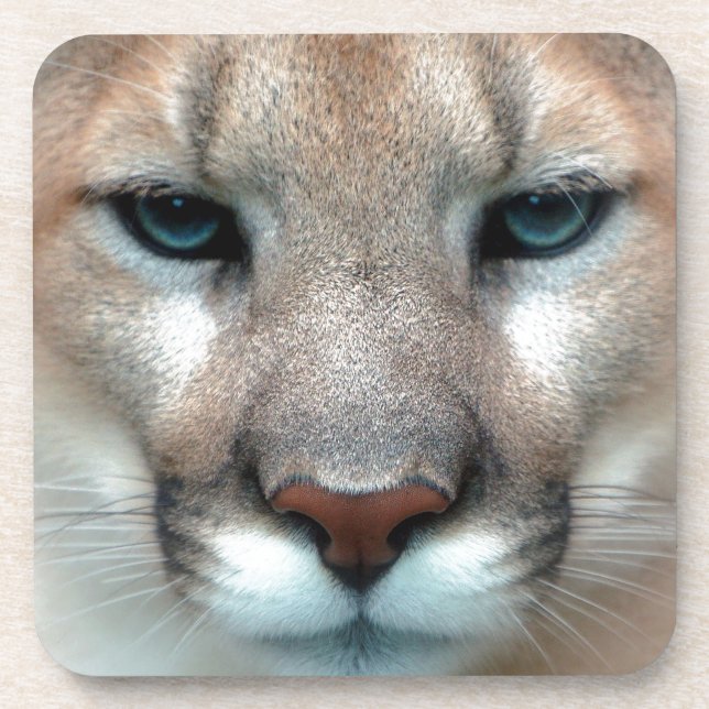 PORTA-COPO PUMA LINDO (Frente)