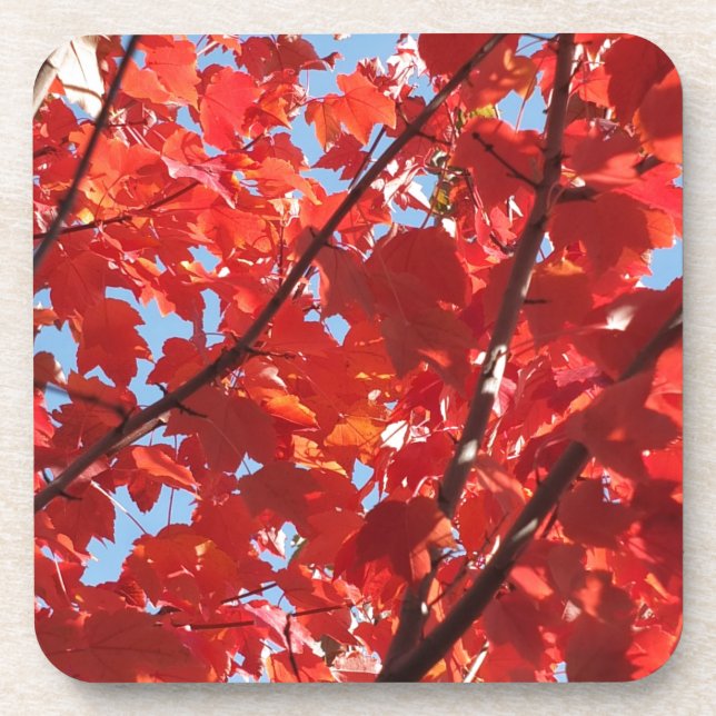 Porta-copo Queda Vermelha (Frente)