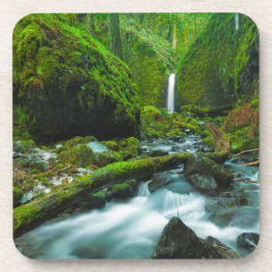 Porta-copo Quedas   Grotto Falls, Oregon