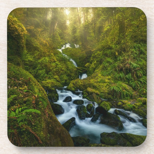 Porta-copo Quedas | Parque Nacional da Olimpiadas, Washington (Frente)