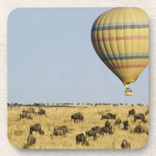 Porta-copo Quênia, Masai Mara. Turistas passeiam de balão de